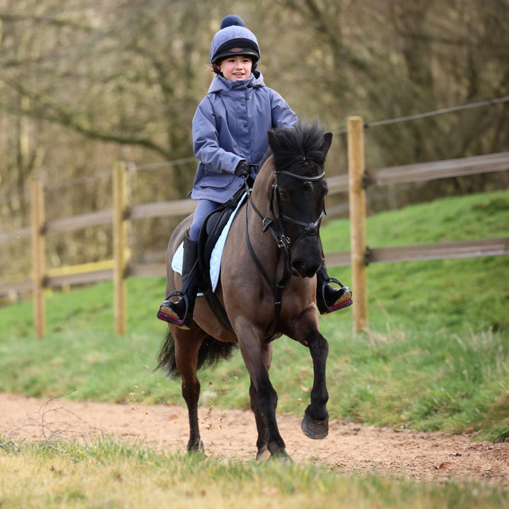 Aubrion Shield Riding Tights - Young Rider