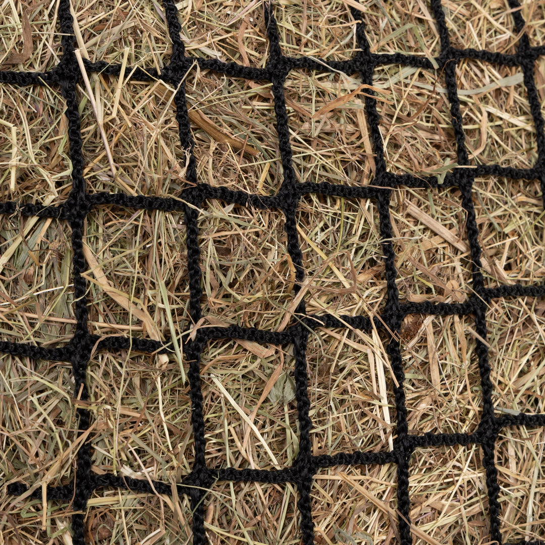 FreeGraze Deluxe Web Hay Net