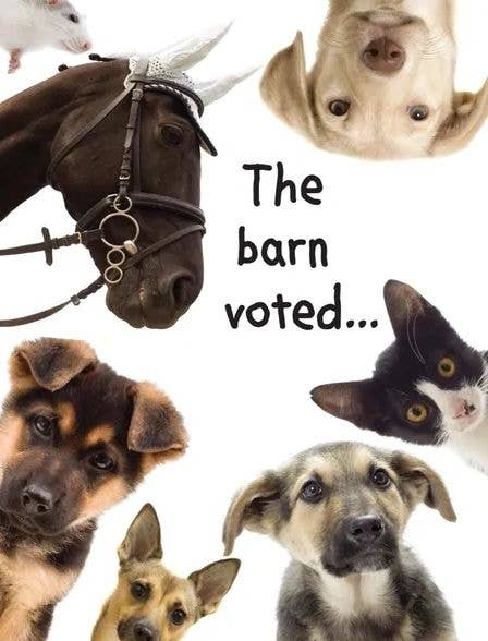 Horse Hollow Press - Horse Funny Birthday Card: the Barn Voted...(yes, You're Old