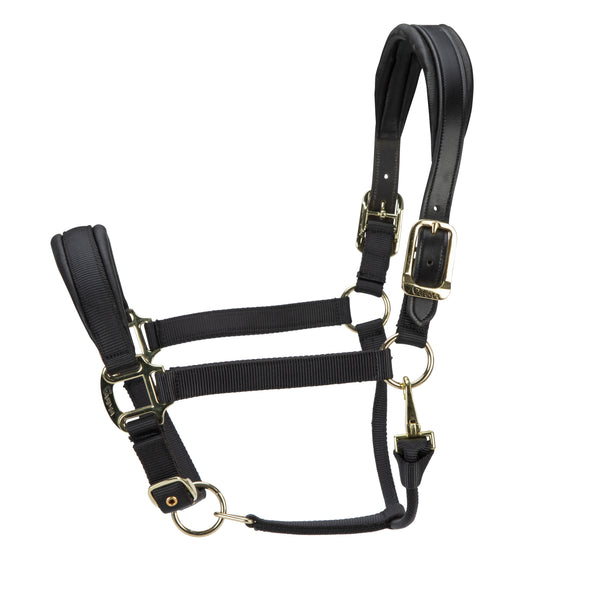 ARMA Premium Nylon Halter with Leather Padding