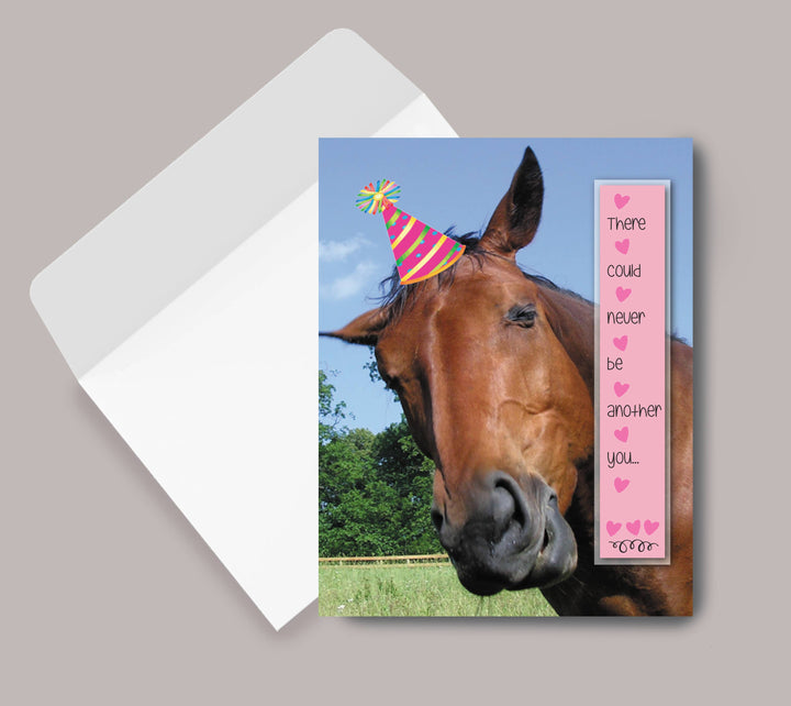 Horse Hollow Press- Horse Birthday Card Never Another