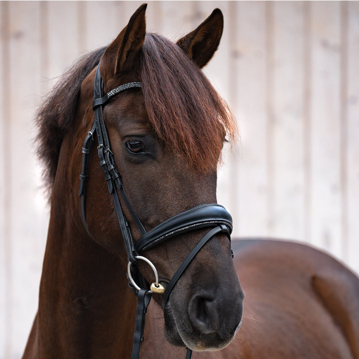 Kavalkade Victoria Bridle