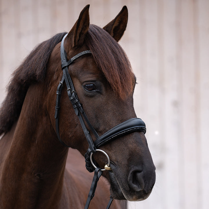 Kavalkade Victoria Bridle