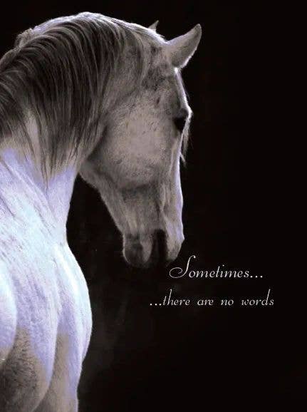 Horse Hollow Press - Horse Sympathy Greeting Card / Sometimes There are no Words