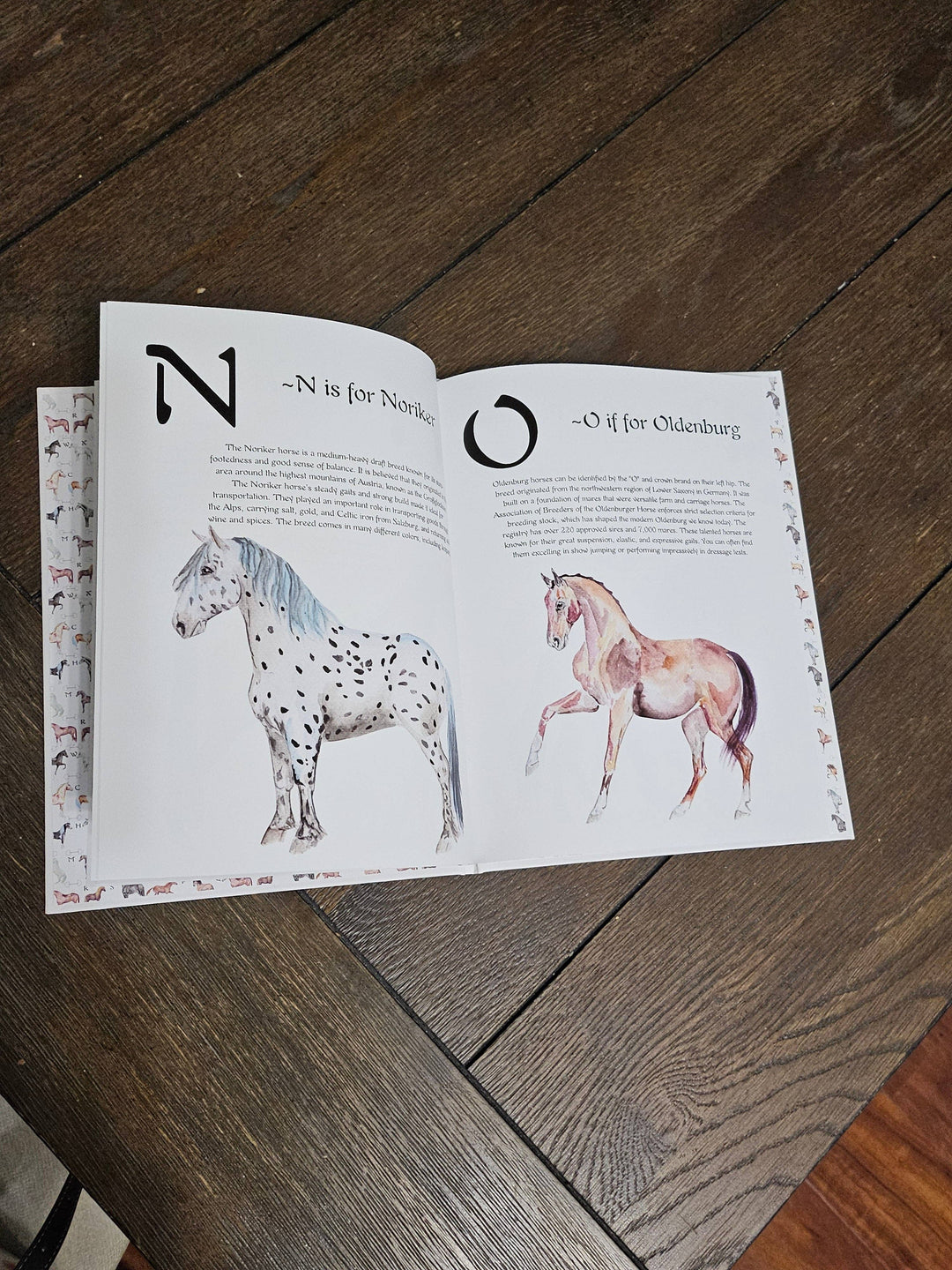 Sona Equestrian - ABC Horse Breeds Book