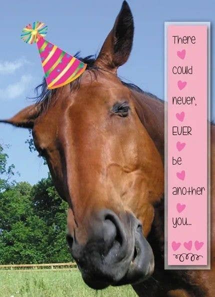 Horse Hollow Press- Horse Birthday Card Never Another