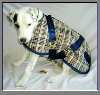Foggy Mountain Plaid Turnout Dog Coats