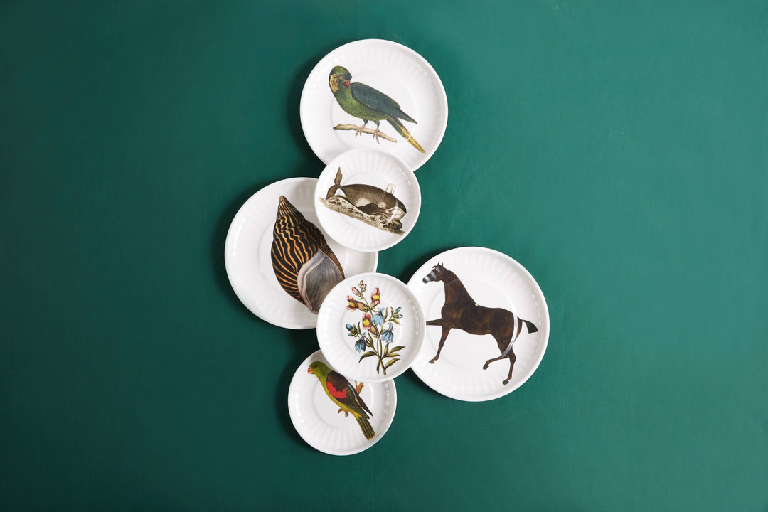 Siren Song - Stallion Lg. Paper Plates Melamine Set of 4
