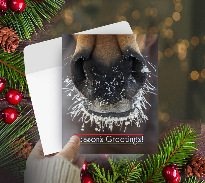 Horse Hollow Press - Horse w/ Frosty Muzzle Christmas Card