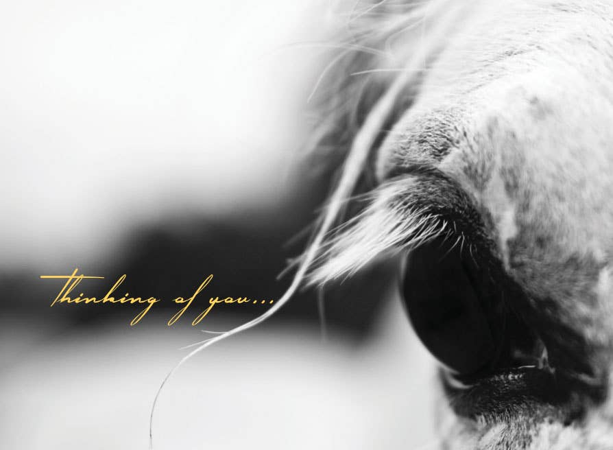 Horse Hollow Press - Horse Sympathy Greeting Card / Thinking of You