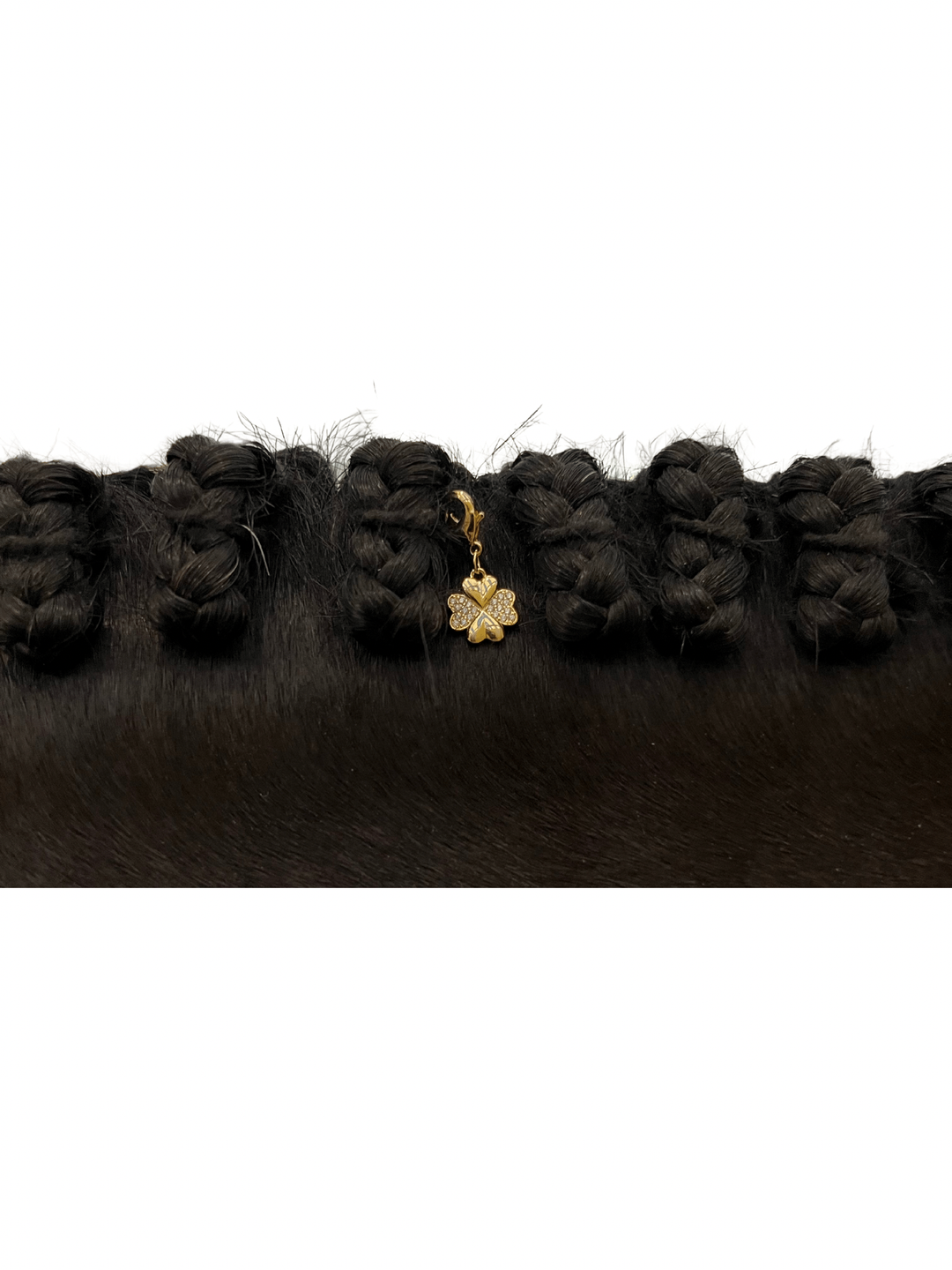 Dubois Cheval - Sparkly Lucky Clover Braid Charm