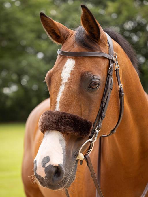 Lemieux Simuwool Noseband Cover