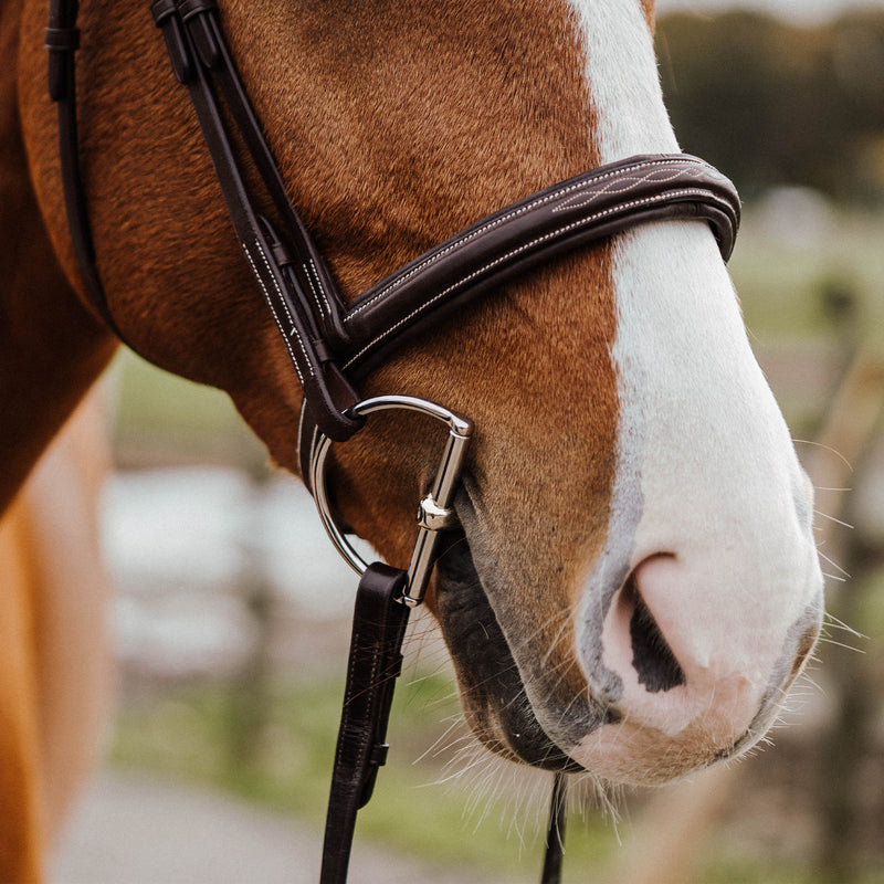 Herm Sprenger KK D-Ring Sensogan 12mm