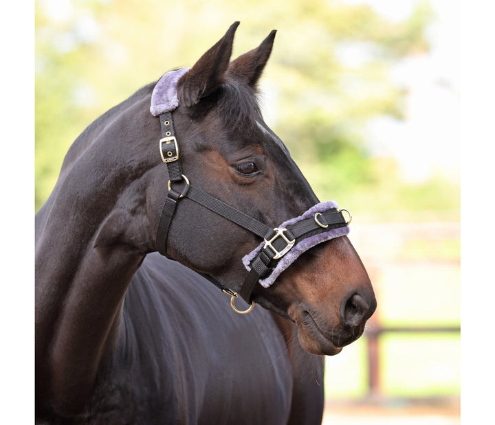Shires Fleece Lined Lunge Cavesson