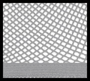 RWR No Knot Hair Net
