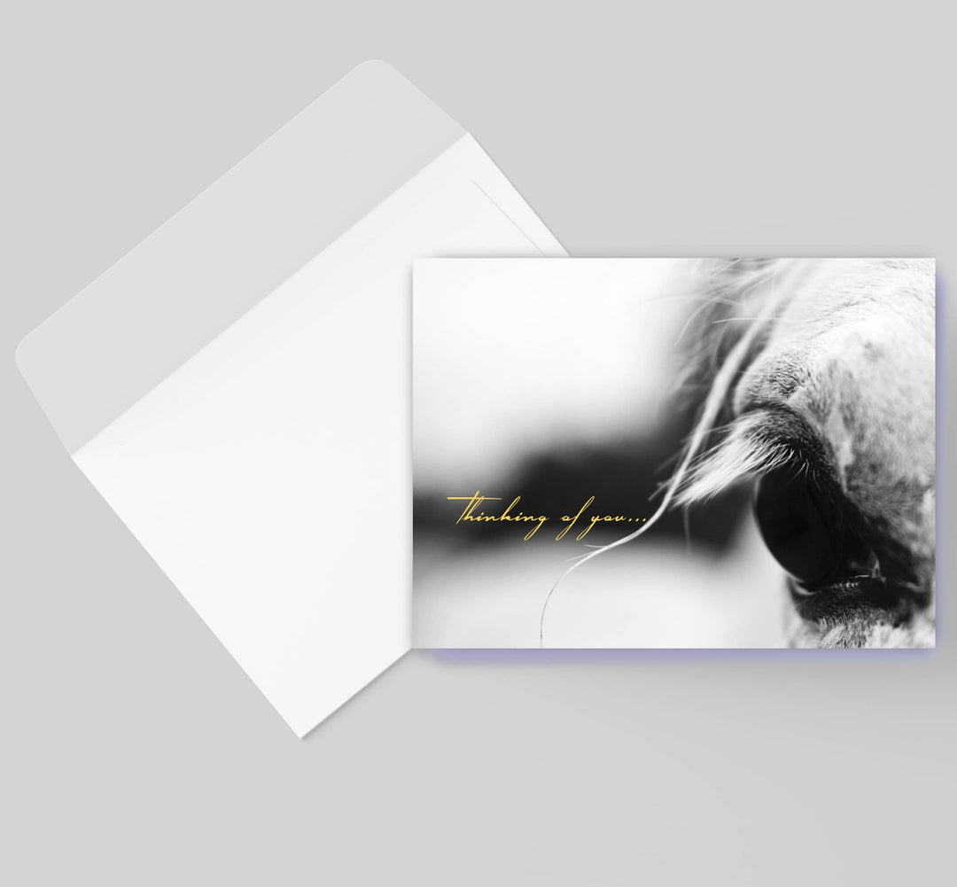 Horse Hollow Press - Horse Sympathy Greeting Card / Thinking of You