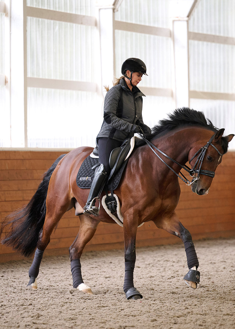 Kerrits Sit Tight Wind Pro® Knee Patch Winter Riding Tight '25