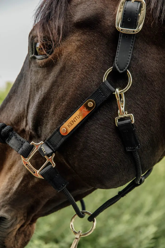 Kentucky Horsewear Control Halter