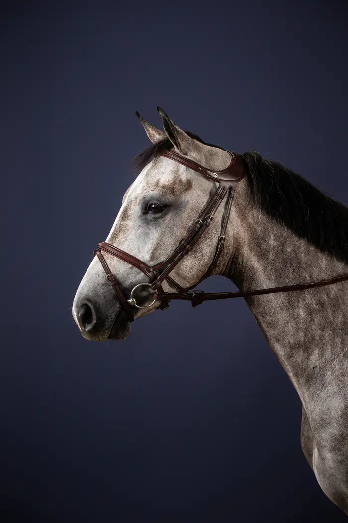 Dy'on "Difference" Bridle