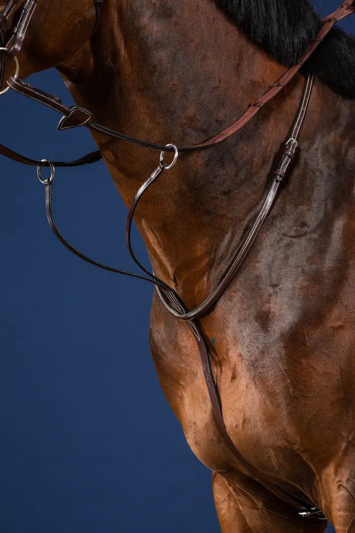 Dy'on Running Martingale US Jumping Collection