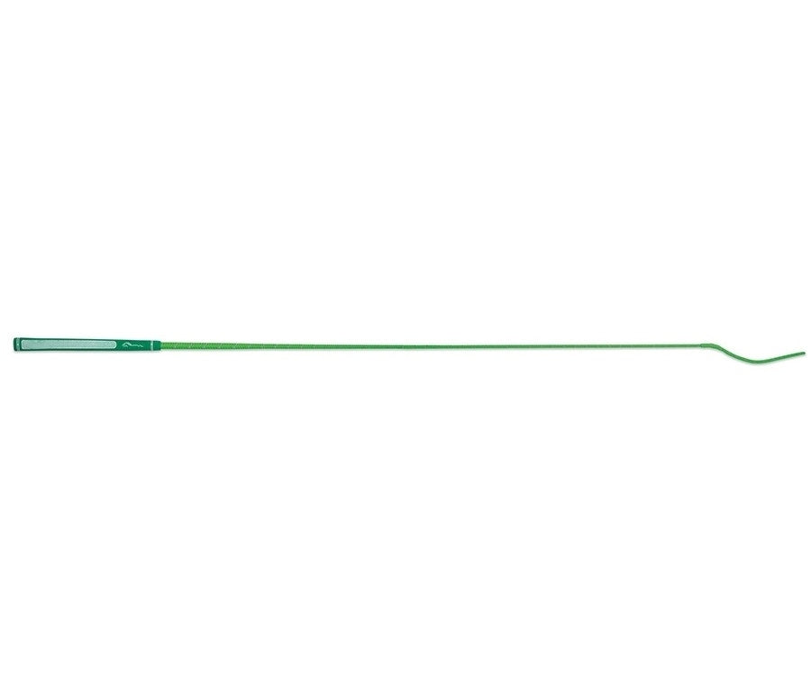 Rainbow Schooling Whip