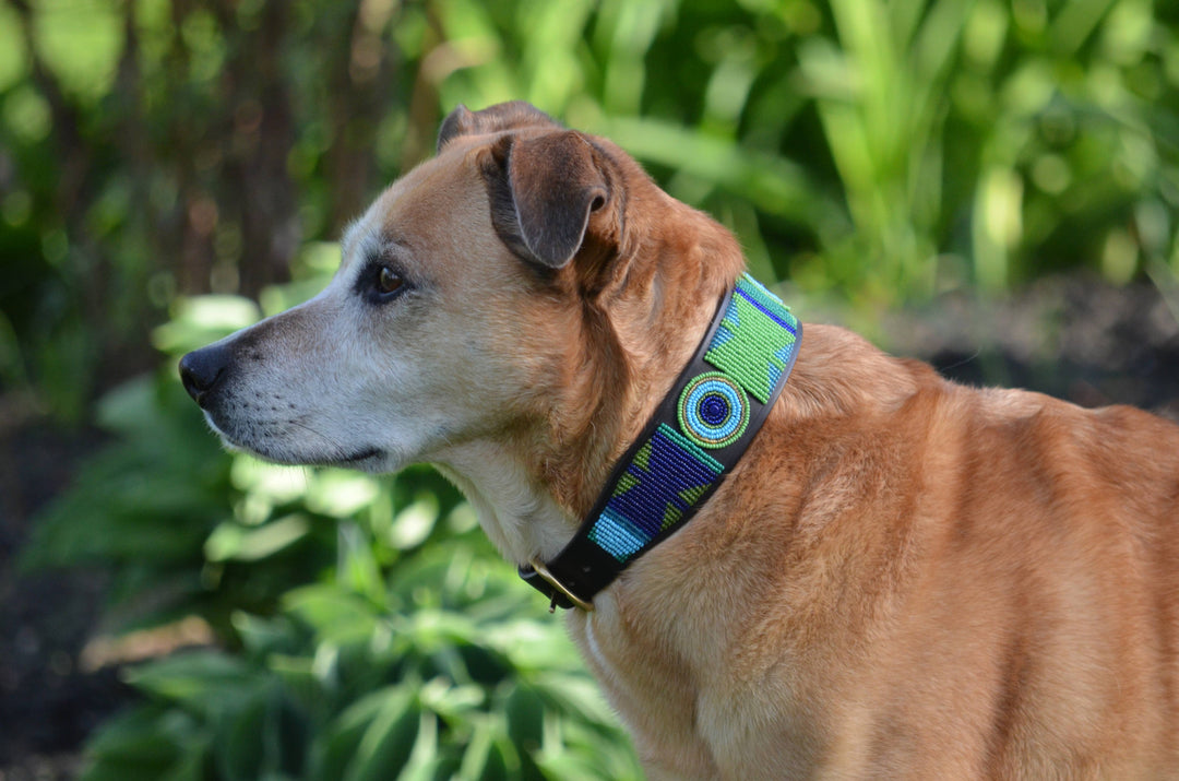 Kenyan Collection Peacock Beaded Dog Collar