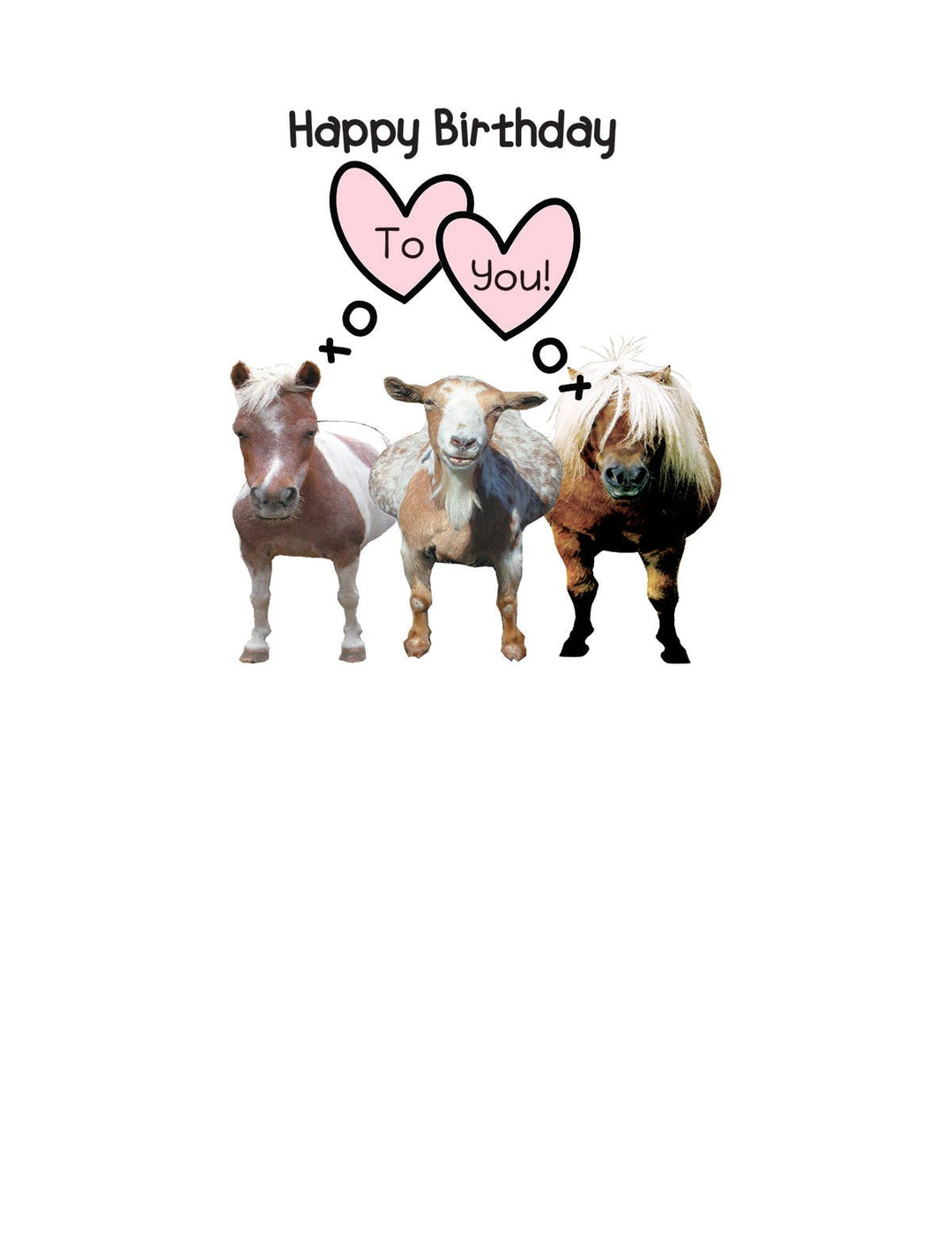 Horse Hollow Press - Horse Greeting Birthday Card / Neigh, Baa, Nicker / Funny