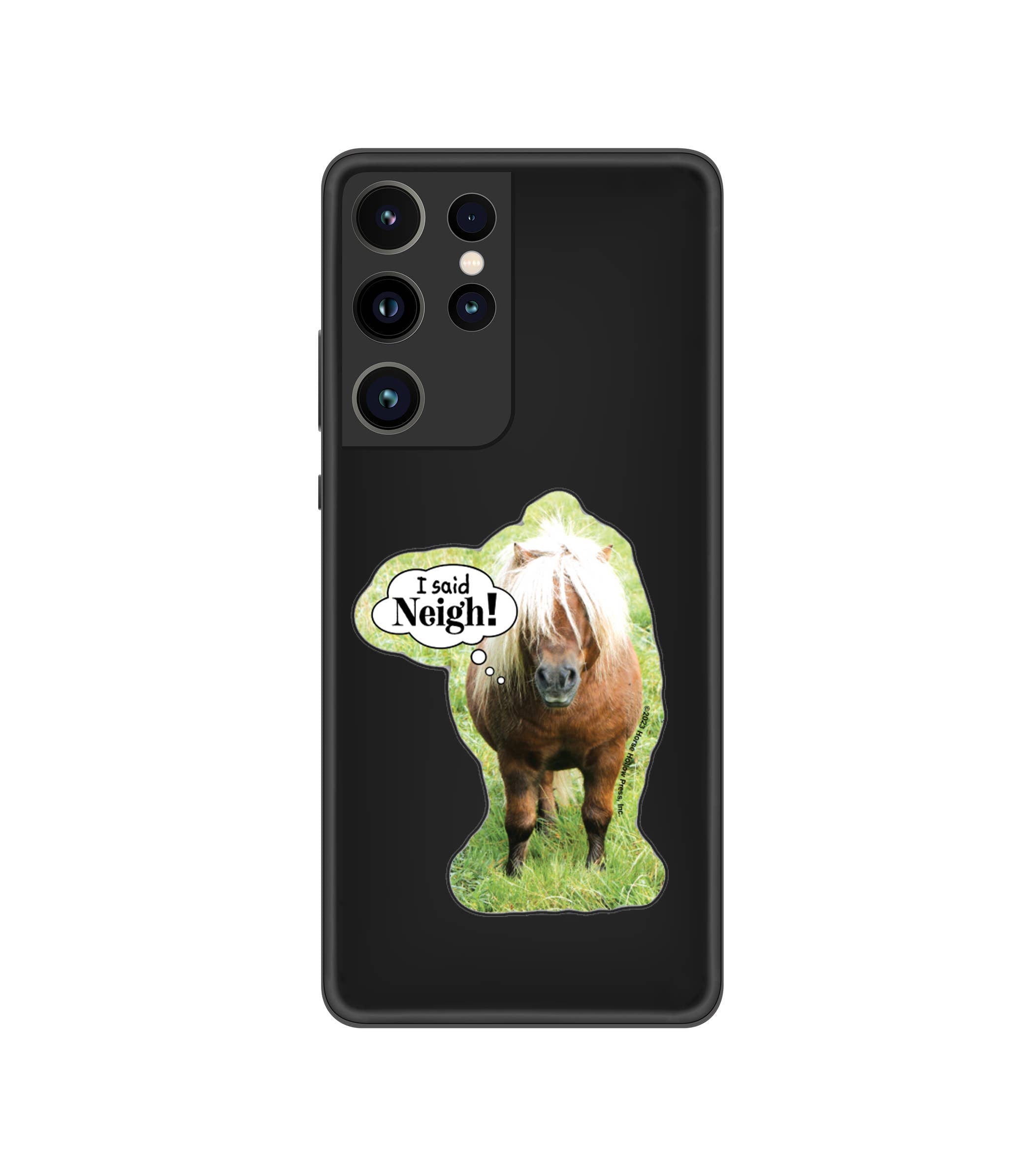 Horse Hollow Press - I Said NEIGH! Mini Horse Funny Sticker 3" Waterproof