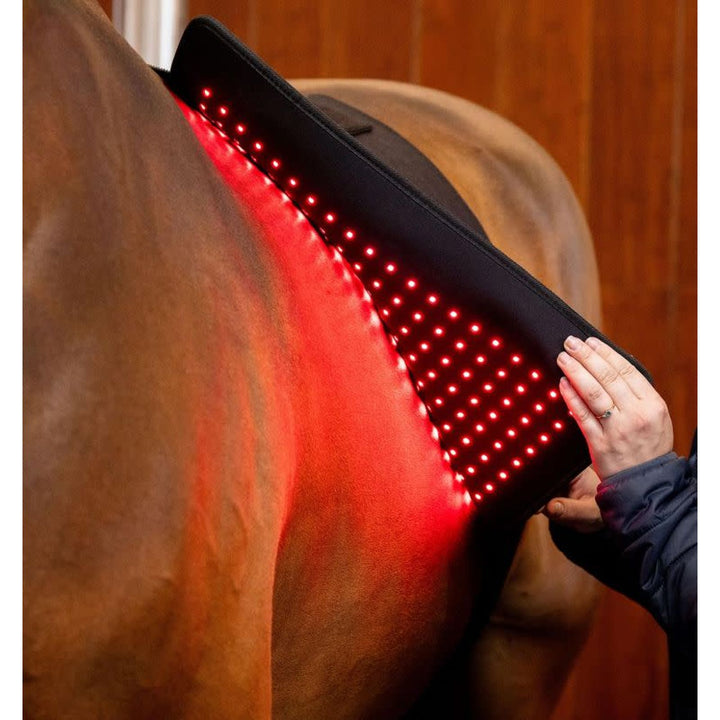 Horseware LED Red Light Therapy Pad