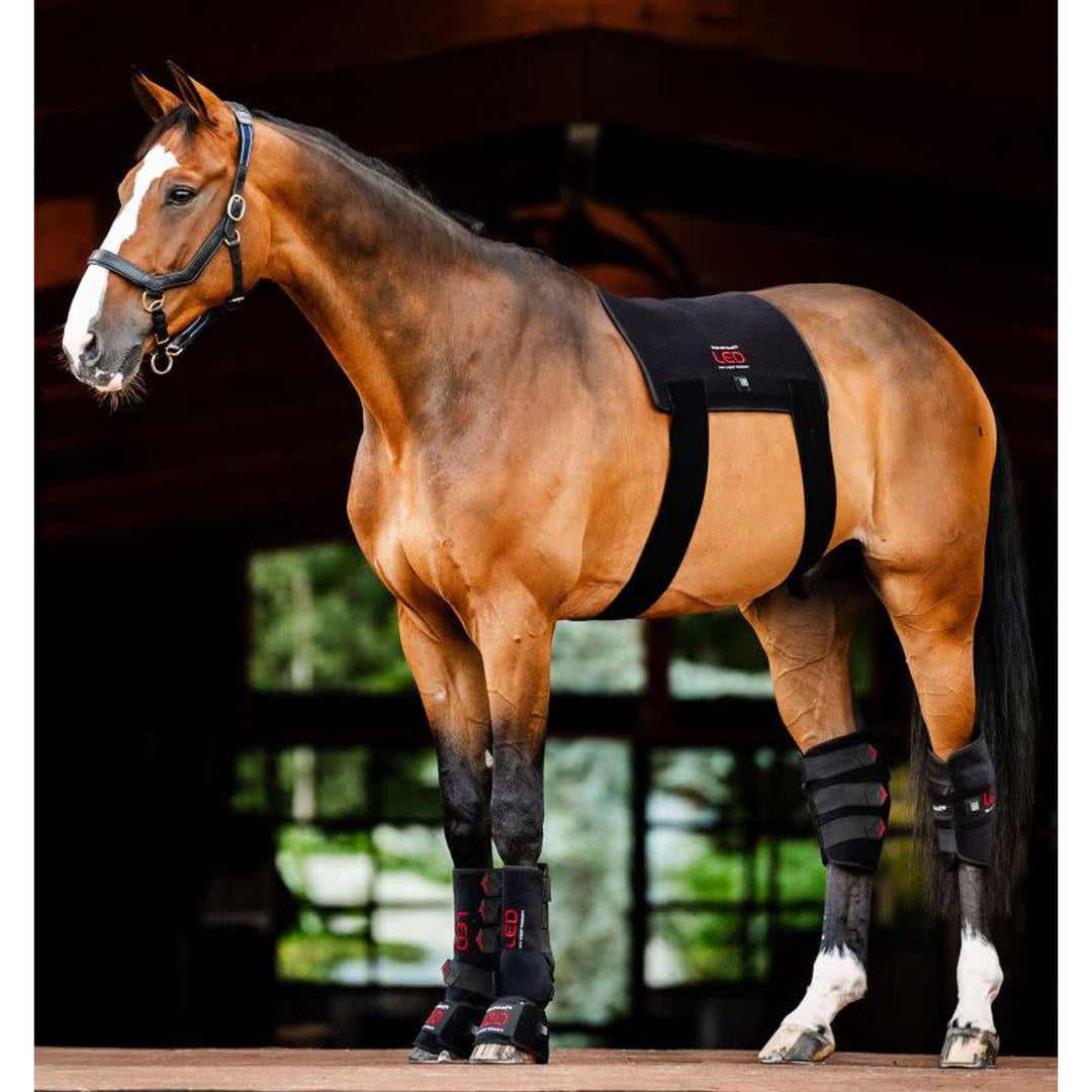 Horseware LED Red Light Therapy Pad