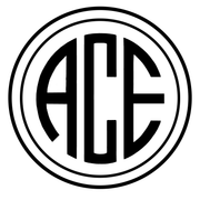 ACE Pro4mance Number I.D. Tag