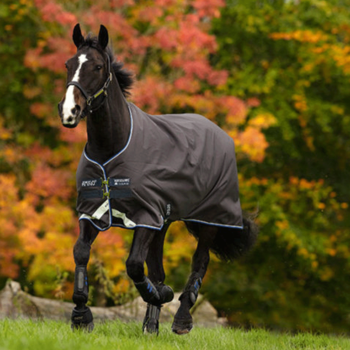 Amigo Bravo 12 Turnout Blanket, Lite Weight (100g Fill)