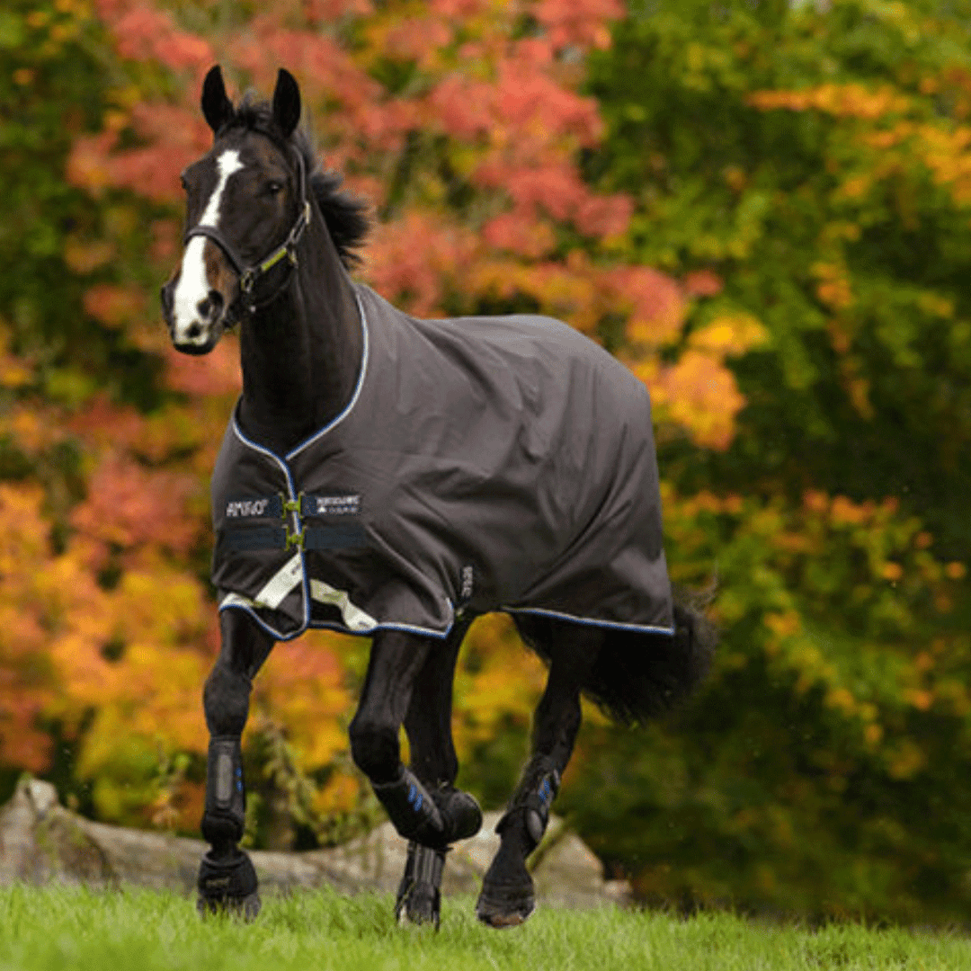 Amigo Bravo 12 Turnout Blanket, Lite Weight (100g Fill) SALE