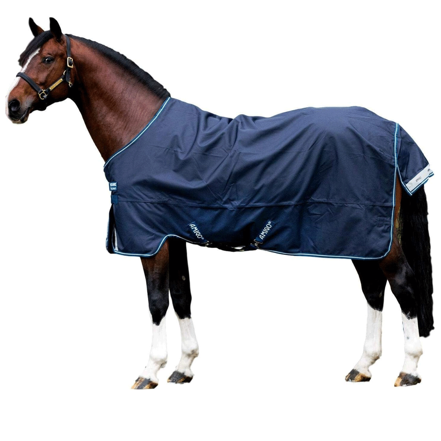 Amigo Bravo 12 Original Turnout Blanket, Lite Weight (0g Fill)