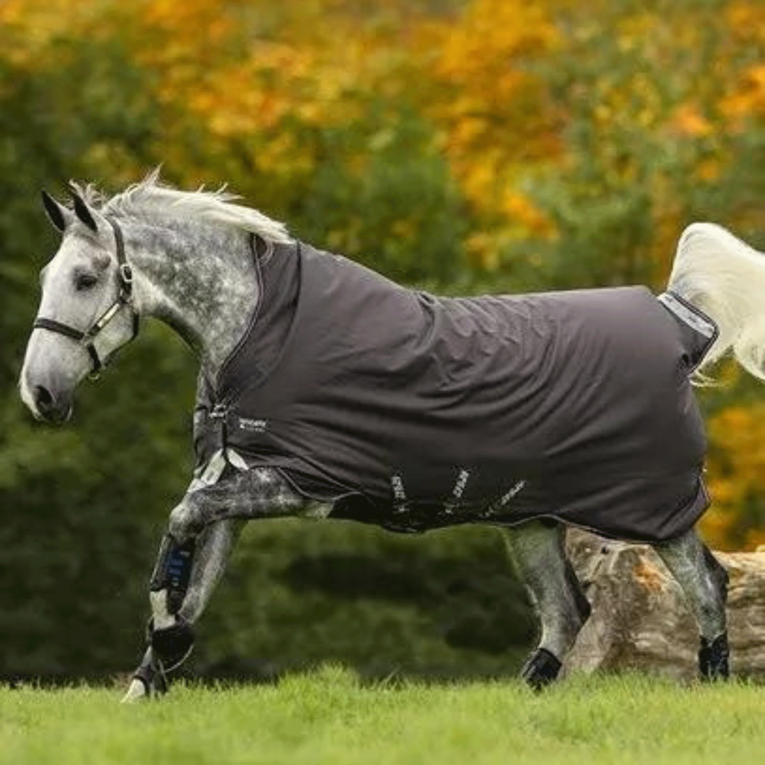 Amigo Bravo 12 Original Turnout Blanket, Lite Weight (0g Fill)