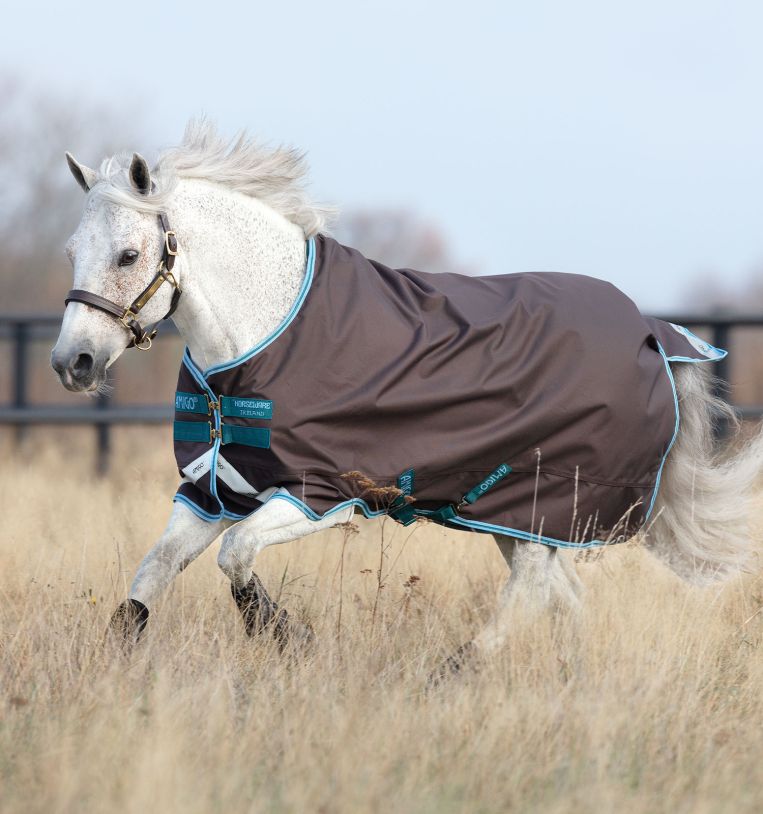 Amigo Bravo 12 Original Turnout Blanket, Pony Size, Lite Weight (0g Fill)