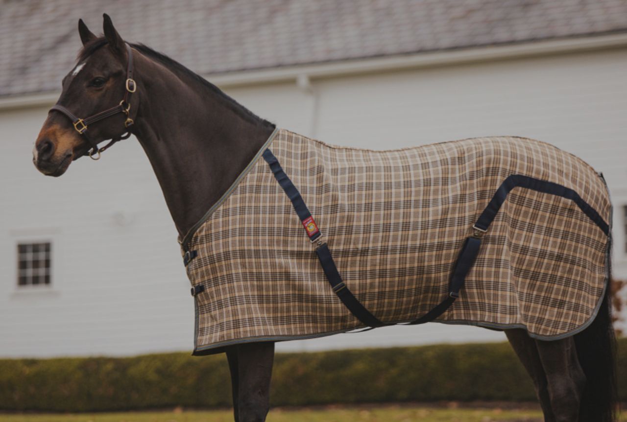 Baker_Blanket_for_Horses