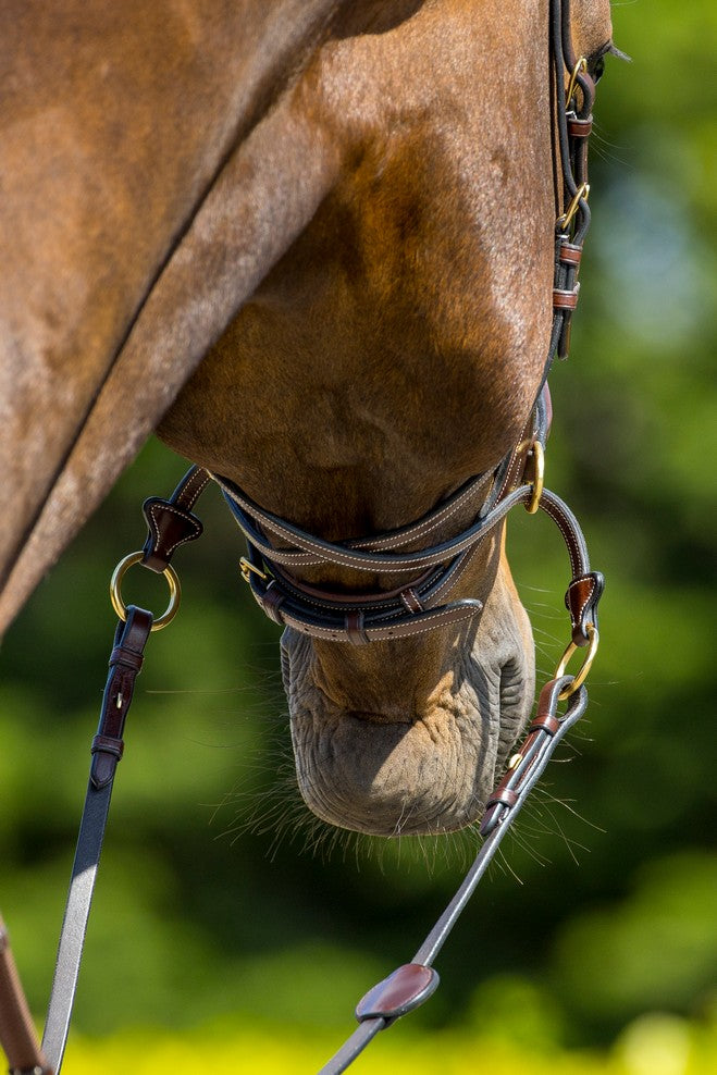 TRUST Falsterbo Bridle
