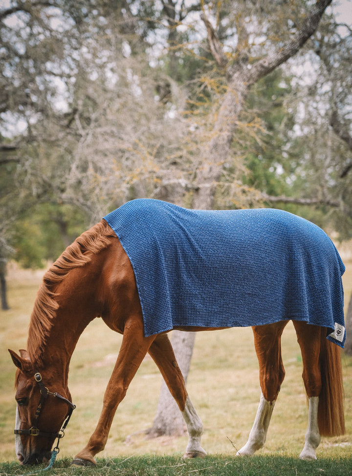 Cotton Waffle Horse Drying Towel, Sand