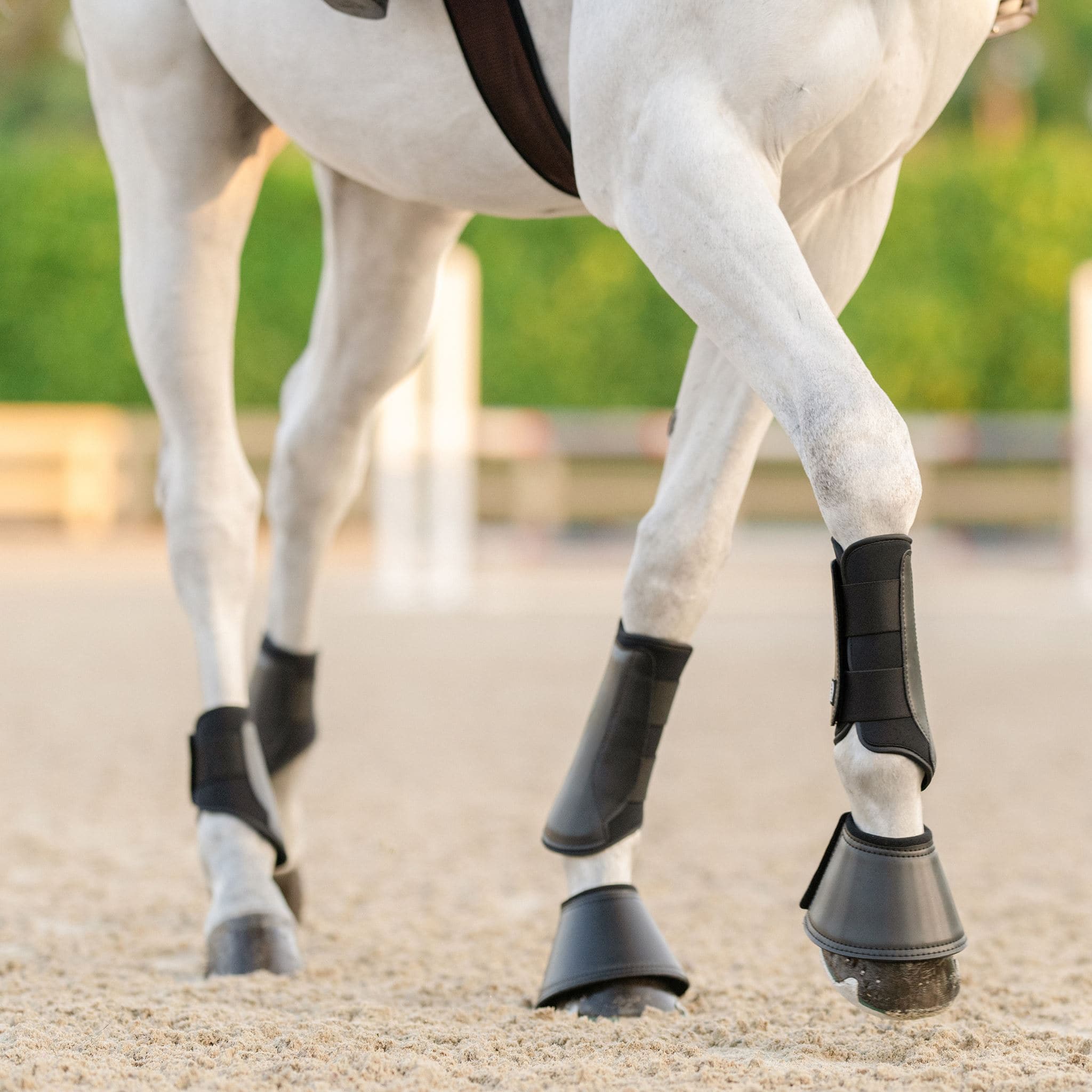 EquiFit Essential EveryDay Hind Boots