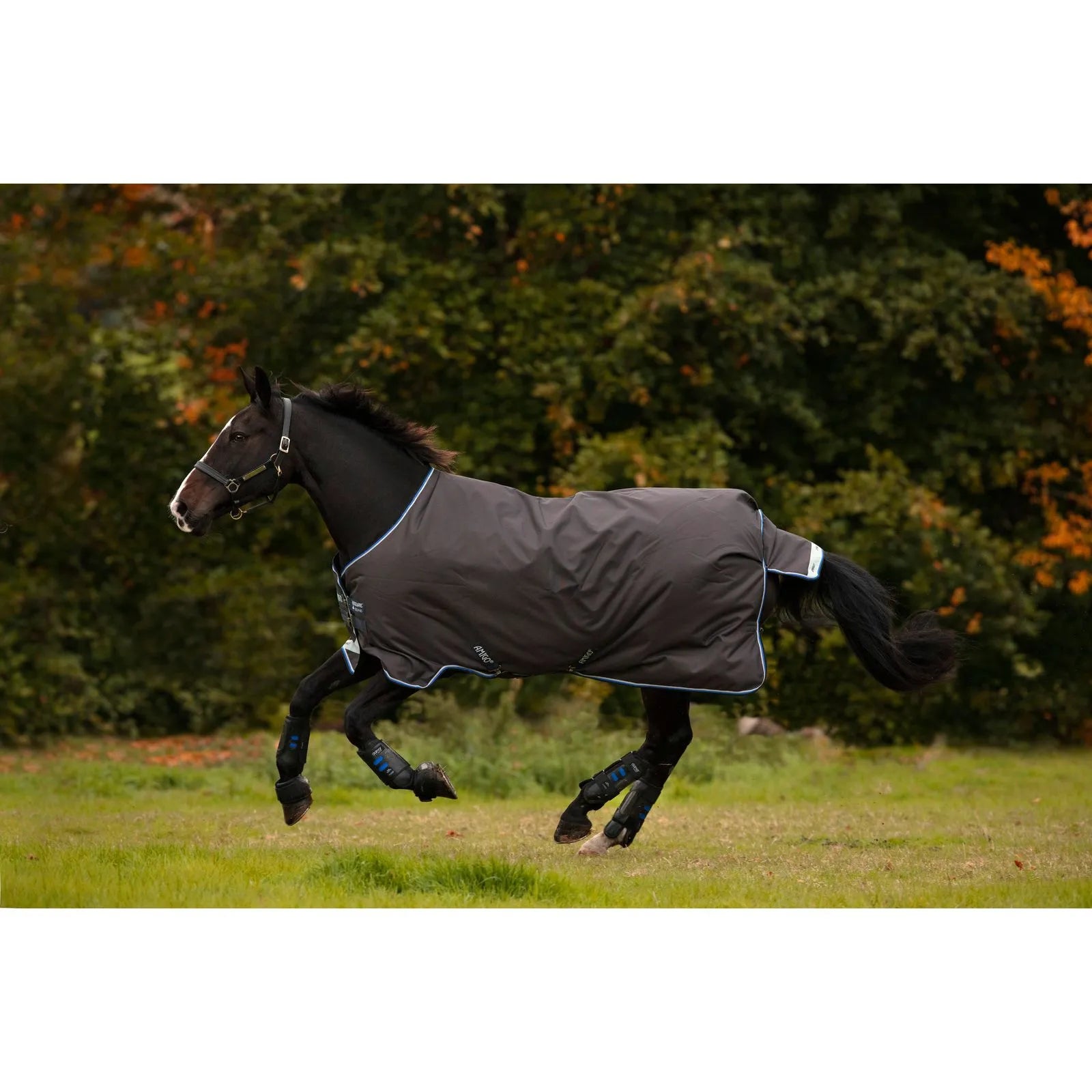 Amigo Bravo 12 Original Turnout Blanket, Pony Size, Lite Weight (0g Fill)