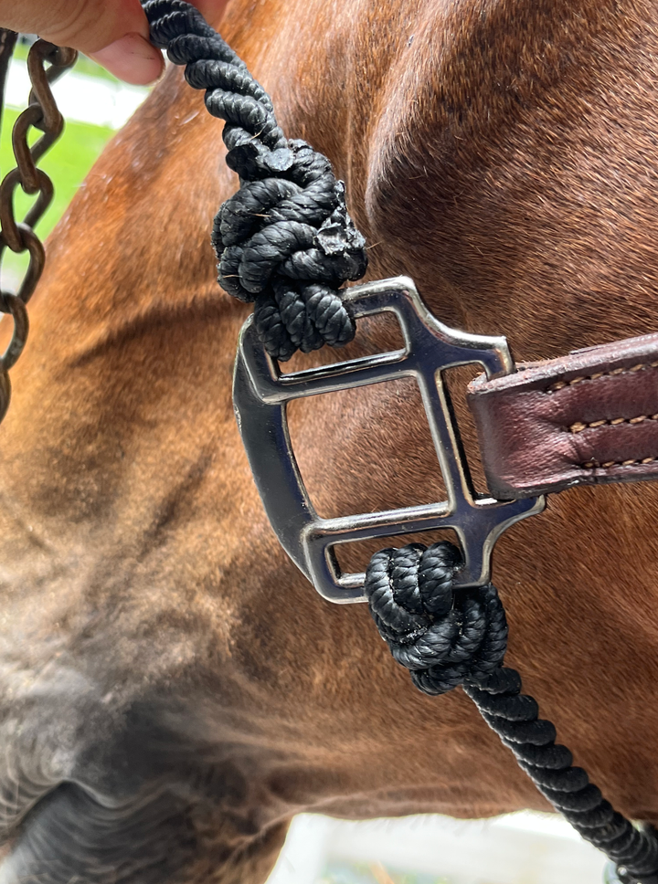 DziaSport Happy Horse Hybrid Halter