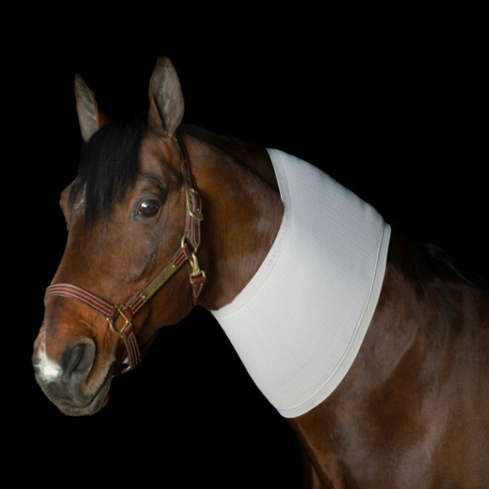 Incrediwear Circulation Neck Sleeve