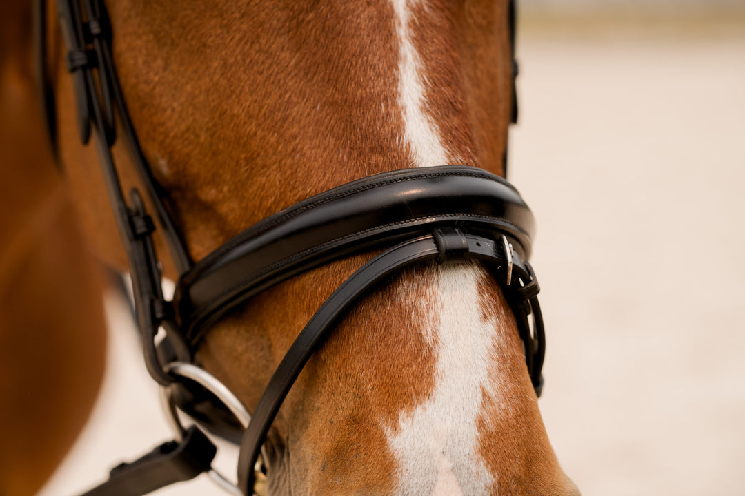 KL Select Elevation Dressage Bridle Flash+Crank Noseband