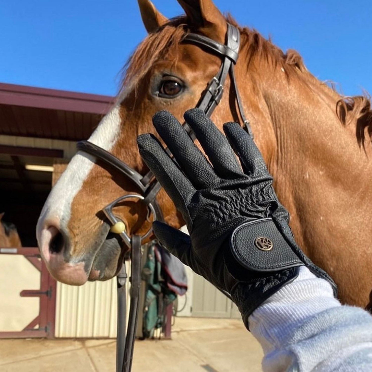 Kunkle Premium Show Equestrian Riding Gloves