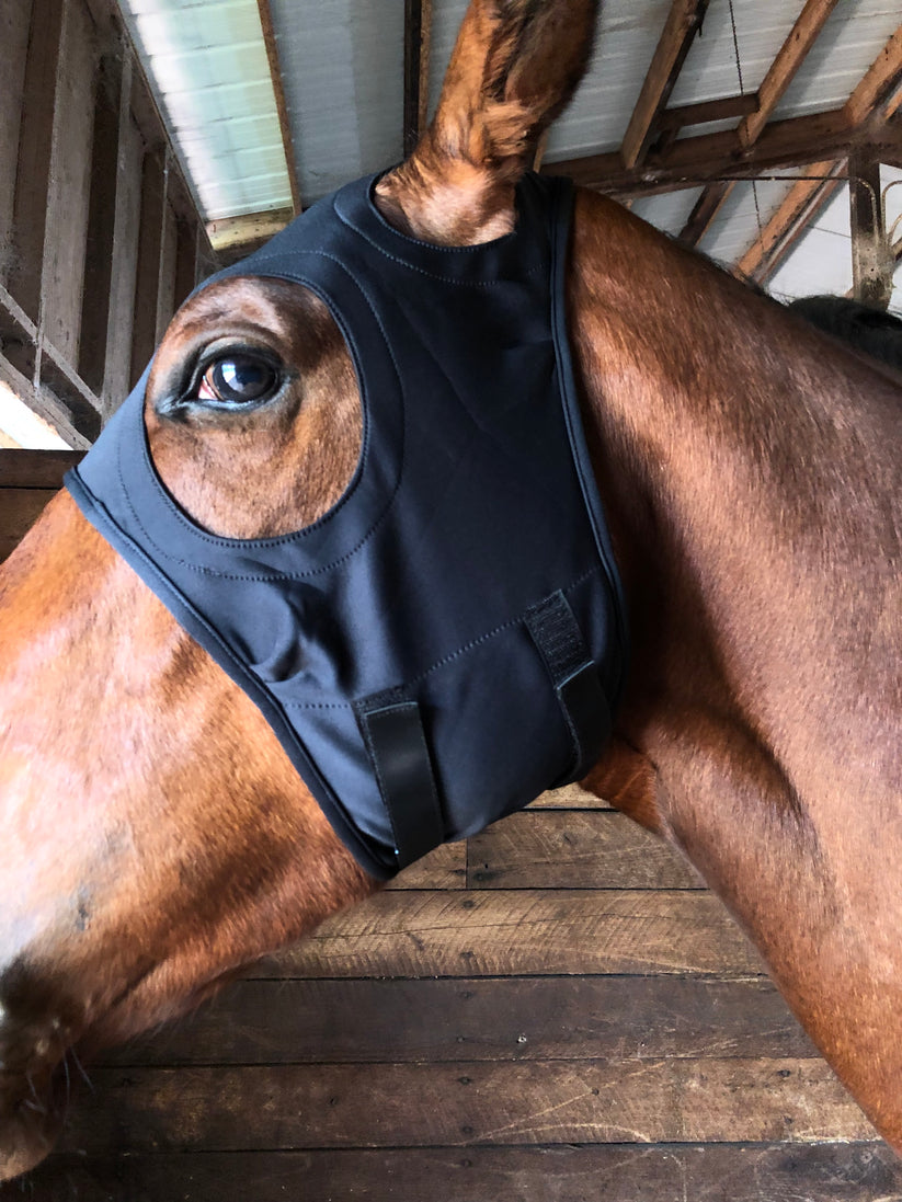 Fenwick Titanium Mask - Sound Reducing Ears