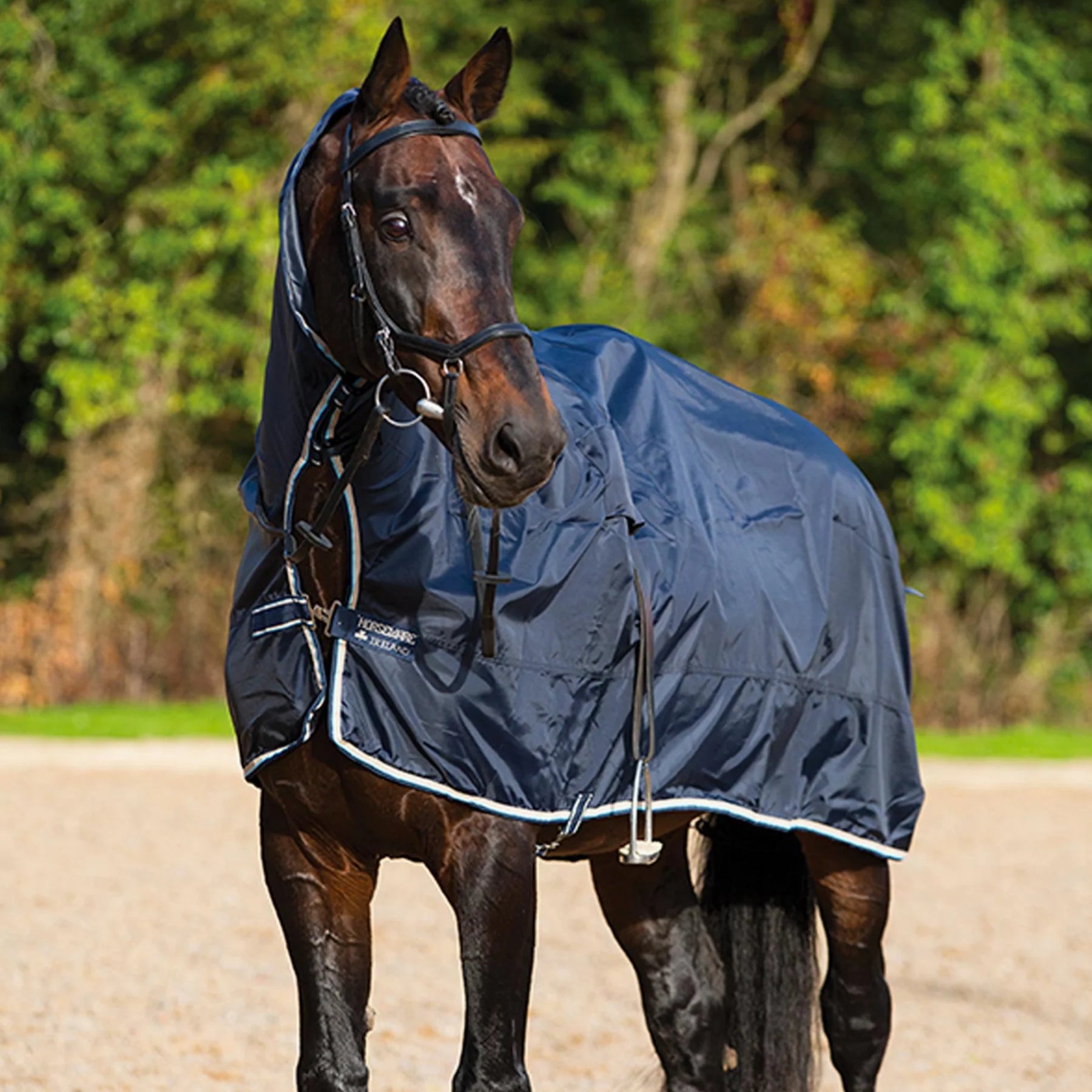 Horseware Mack in a Sack