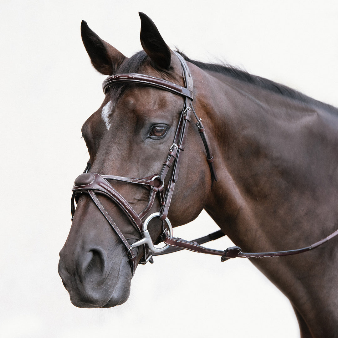 Nunn Finer Arianna Figure 8 Bridle