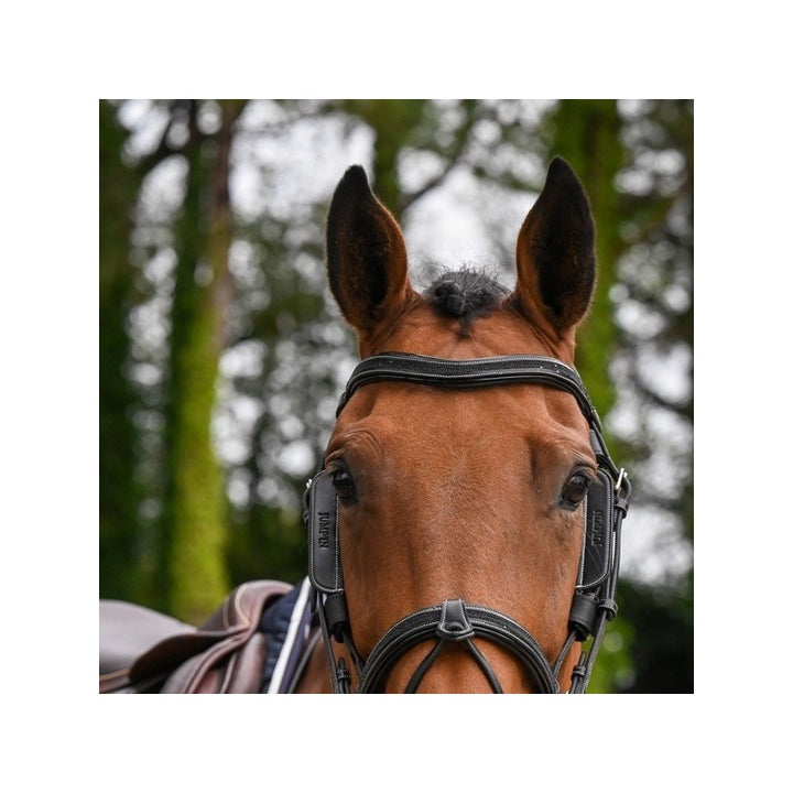 Jump'In Week Blinkers