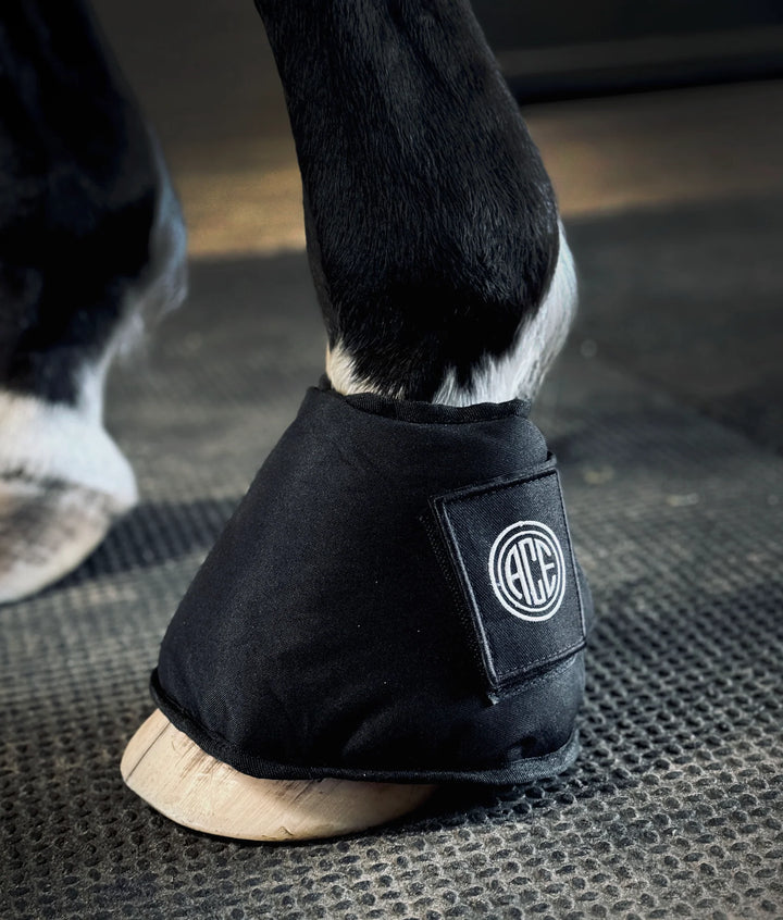Ace Equestrian Kold Feet Ice Boots